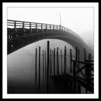 Ponte dell'Accademia in the fog - 1